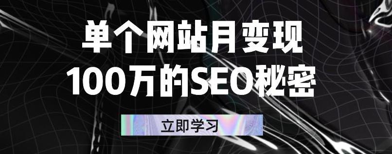 单个网站月变现100万的SEO秘密，百分百做出赚钱站点-无忧资源网