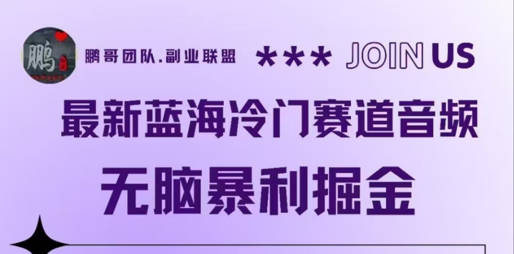 最新蓝海冷门赛道音频，无脑暴利掘金-无忧资源网