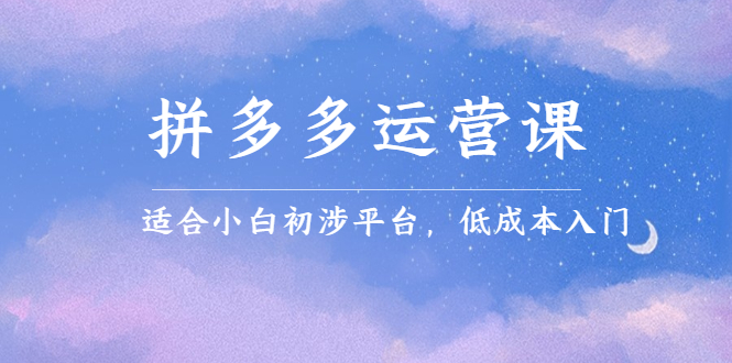 拼多多运营课，适合小白初涉平台，低成本入门-无忧资源网
