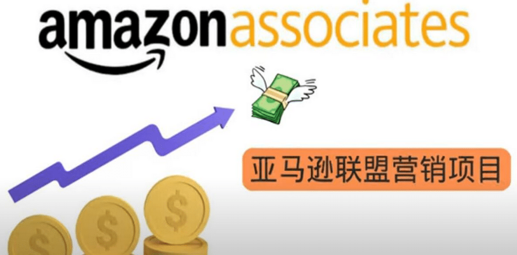 亚马逊社交媒体营销项目，无需任何投资，即可月赚1500美元-无忧资源网