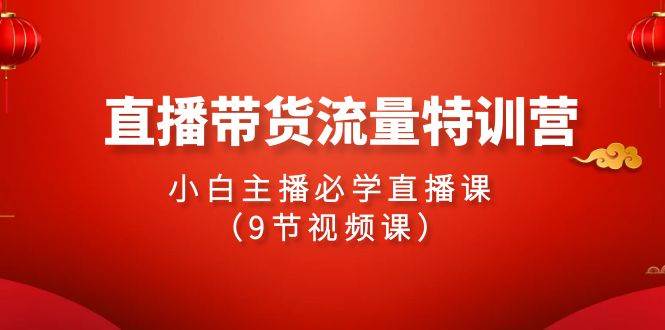 2024直播带货流量特训营，小白主播必学直播课（9节视频课）-无忧资源网