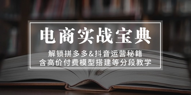 电商实战宝典 解锁拼多多&抖音运营秘籍 含高价付费模型搭建等分段教学-无忧资源网
